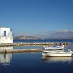 Palirroia *