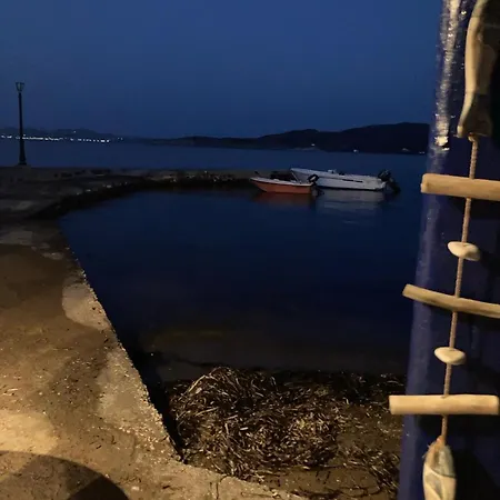 Palirroia *